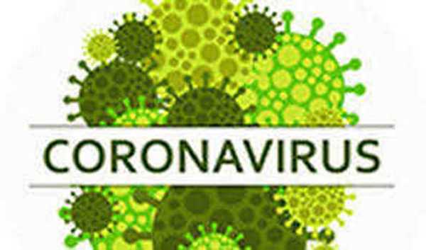 विश्व में करीब 3.44 करोड़ कोरोना संक्रमित, 10.26 लाख से अधिक की मौत विश्व में करीब 3.44 करोड़ कोरोना संक्रमित, 10.26 लाख से अधिक की मौत